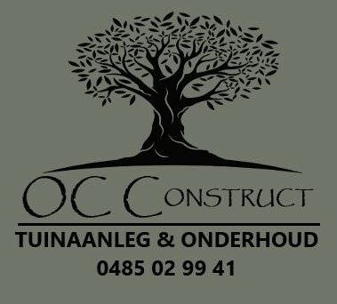 OC Construct