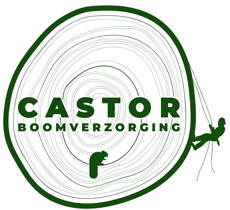 Castor Boomverzorging