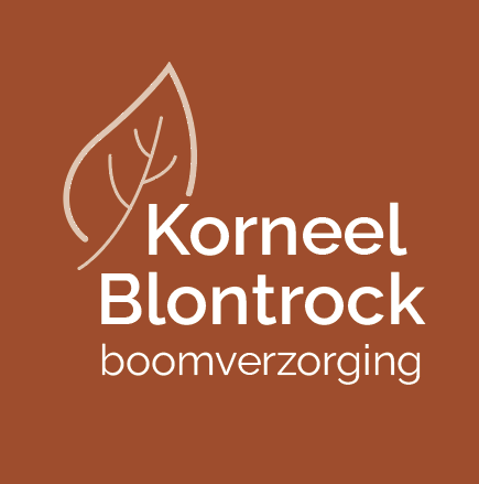 Boomverzorging Korneel Blontrock