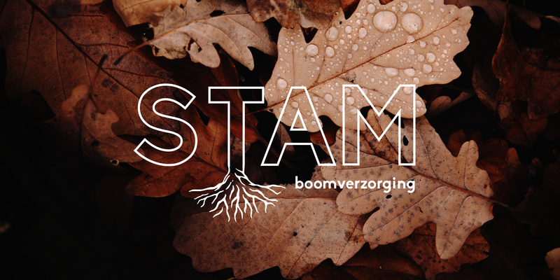 STAM Boomverzorging 
