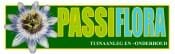 Passiflora tuinaanleg & -onderhoud