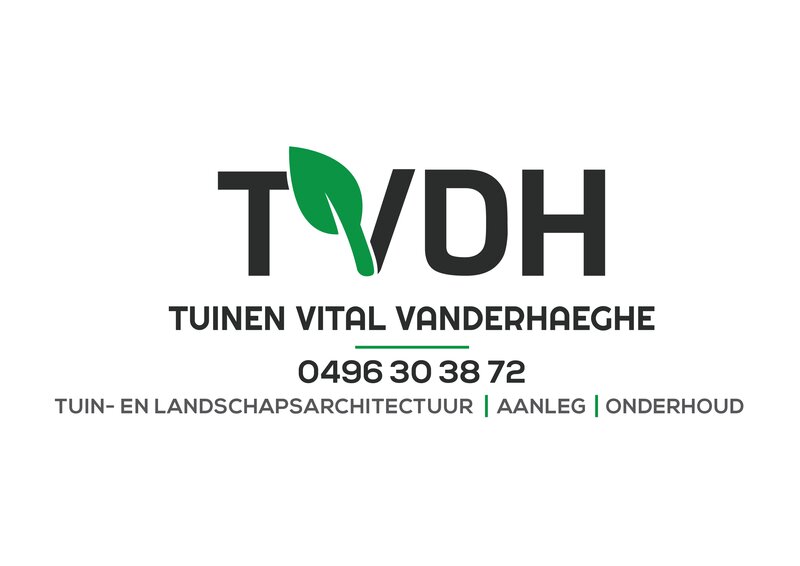TVDH