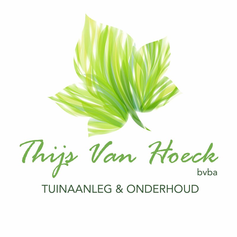 Van Hoeck Thijs