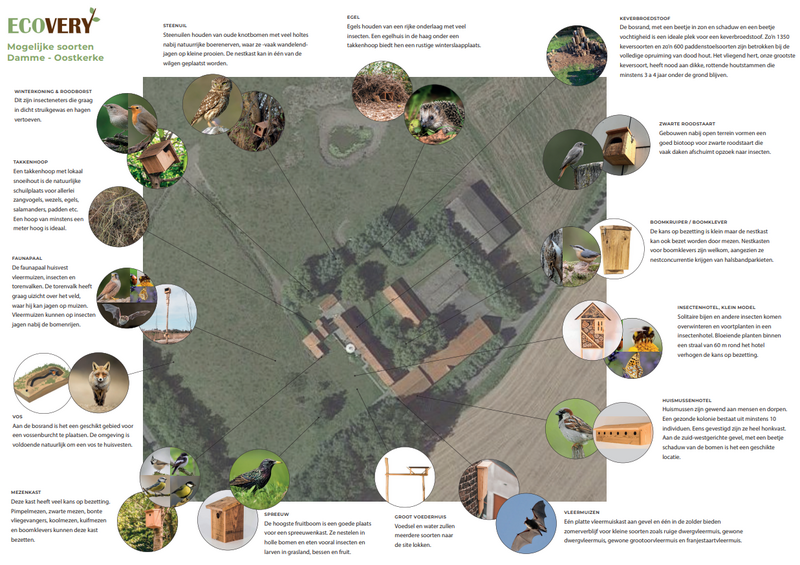 Plan opstellen voor nestgelegenheid + plaatsing ecologische nestconstructies. Het huisvesten van dieren in uw tuin. 