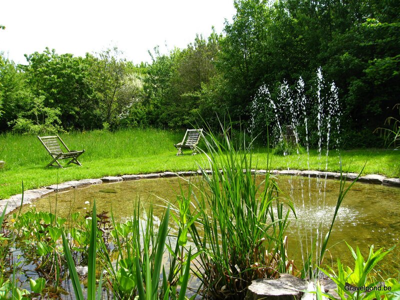 Totaalontwerp en aanleg tuin met speelvijver en  fontein werkend op zonenergie.